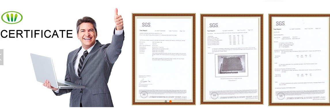 Economic Artificial Turf Carpet for Home Garden Decoration