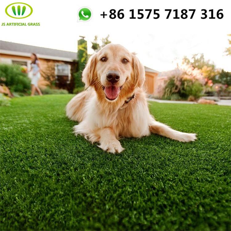 artificial turf and dogs