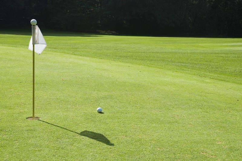 퍼팅 그린 인공 잔디 Artificial Grass for Putting Green