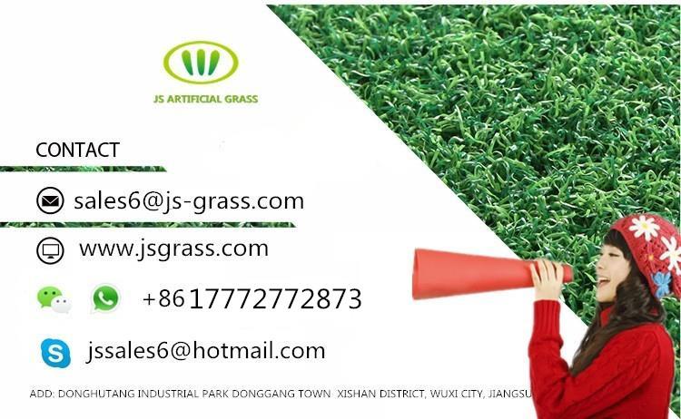 Artificial Turf Soccer