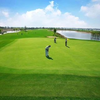 인공 퍼팅 표면