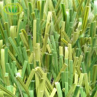 축구장 용 잔디