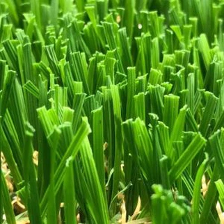 W 모양 50mm 조경 잔디 미국