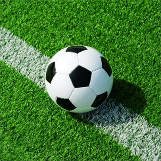 축구 필드 잔디